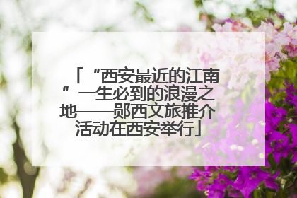 “西安最近的江南”一生必到的浪漫之地——郧西文旅推介活动在西安举行