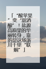 “酸苹果”变“甜酒酿”！盐源高原果的华丽转身，靠的是这场浙川千里“联姻”