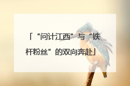“问计江西”与“铁杆粉丝”的双向奔赴