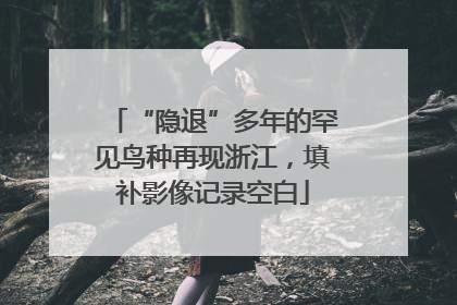 “隐退”多年的罕见鸟种再现浙江，填补影像记录空白