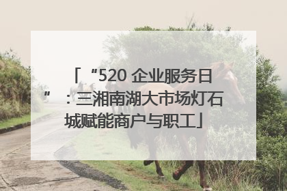 “520 企业服务日”：三湘南湖大市场灯石城赋能商户与职工