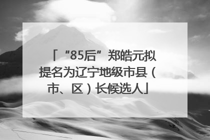 “85后”郑皓元拟提名为辽宁地级市县（市、区）长候选人