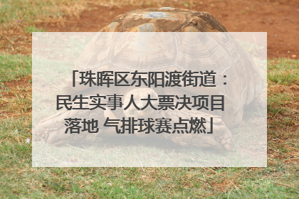 珠晖区东阳渡街道：民生实事人大票决项目落地 气排球赛点燃
