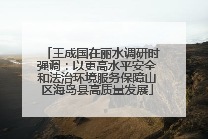 王成国在丽水调研时强调：以更高水平安全和法治环境服务保障山区海岛县高质量发展
