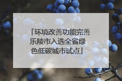 环境改善功能完善 乐陵市入选全省绿色低碳城市试点