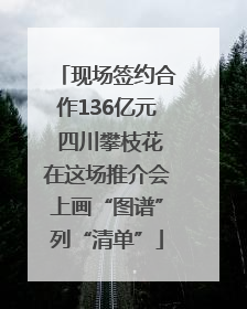 现场签约合作136亿元 四川攀枝花在这场推介会上画“图谱”列“清单”