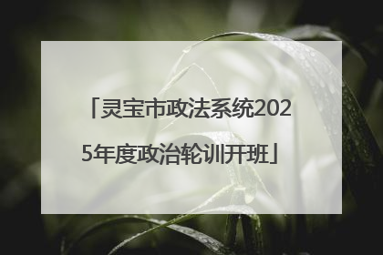 灵宝市政法系统2025年度政治轮训开班