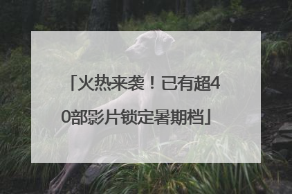 火热来袭！已有超40部影片锁定暑期档