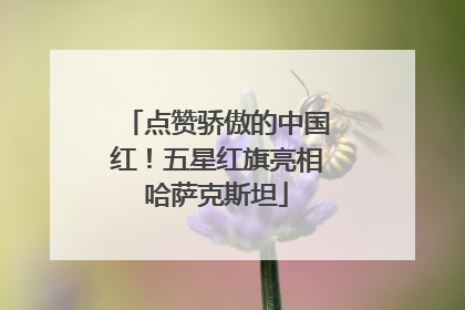 点赞骄傲的中国红！五星红旗亮相哈萨克斯坦