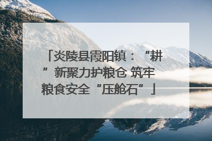 炎陵县霞阳镇：“耕”新聚力护粮仓 筑牢粮食安全“压舱石”