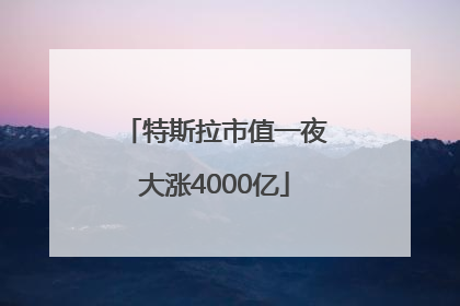 特斯拉市值一夜大涨4000亿