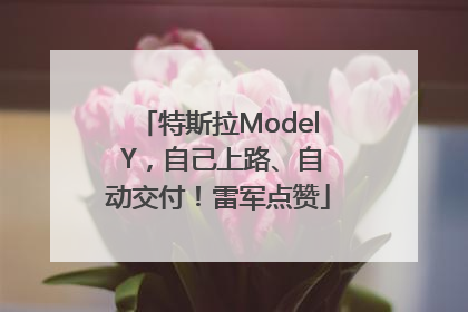 特斯拉Model Y，自己上路、自动交付！雷军点赞