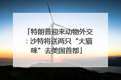 特朗普迎来动物外交：沙特将送两只“大猫咪”去美国首都