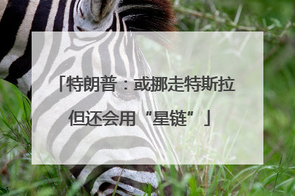 特朗普：或挪走特斯拉 但还会用“星链”