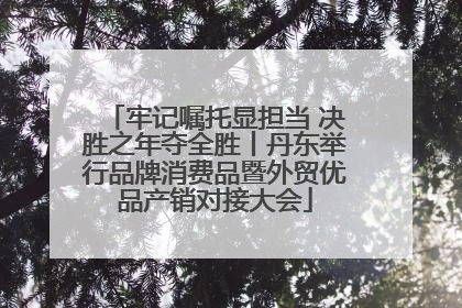 牢记嘱托显担当 决胜之年夺全胜丨丹东举行品牌消费品暨外贸优品产销对接大会