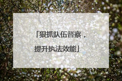狠抓队伍督察，提升执法效能