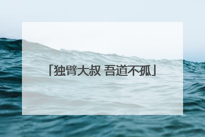 独臂大叔 吾道不孤
