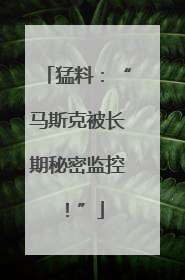 猛料：“马斯克被长期秘密监控！”
