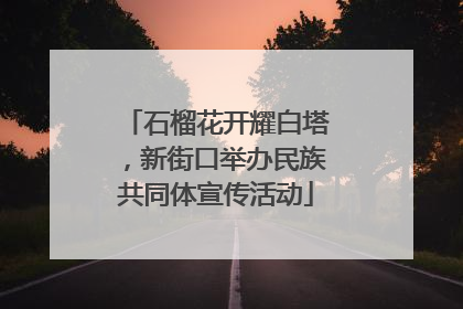 石榴花开耀白塔，新街口举办民族共同体宣传活动
