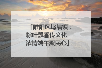 睢阳区坞墙镇：粽叶飘香传文化 浓情端午聚民心