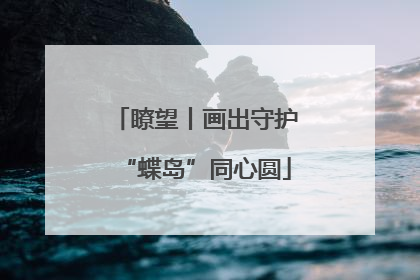 瞭望丨画出守护“蝶岛”同心圆