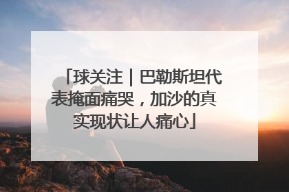 球关注｜巴勒斯坦代表掩面痛哭，加沙的真实现状让人痛心