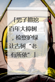 男子擅挖百年大樟树，检察护绿让古树“老有所依”