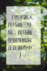 男子进入兵马俑三号坑，兵马俑受损等情况正在调查中