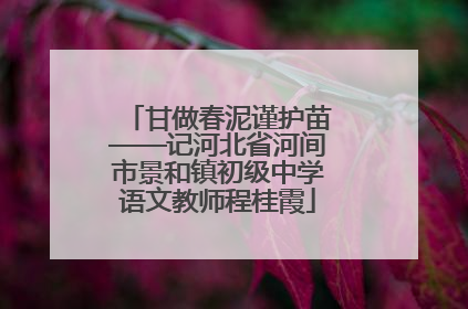 甘做春泥谨护苗——记河北省河间市景和镇初级中学语文教师程桂霞