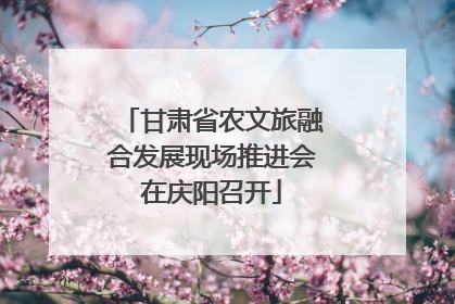 甘肃省农文旅融合发展现场推进会在庆阳召开