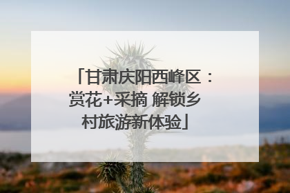 甘肃庆阳西峰区：赏花+采摘 解锁乡村旅游新体验