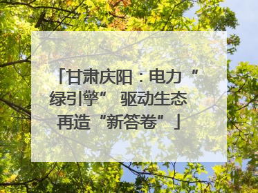甘肃庆阳：电力“绿引擎” 驱动生态再造“新答卷”