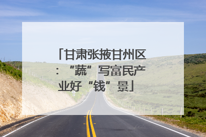 甘肃张掖甘州区：“蔬”写富民产业好“钱”景