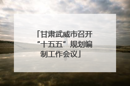 甘肃武威市召开“十五五”规划编制工作会议