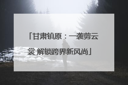 甘肃镇原：一袭剪云裳 解锁跨界新风尚