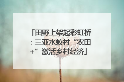 田野上架起彩虹桥：三亚水蛟村“农田+”激活乡村经济