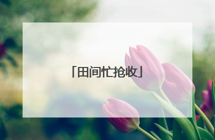 田间忙抢收