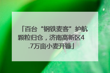 百台“钢铁麦客”护航颗粒归仓，济南高新区4.7万亩小麦开镰