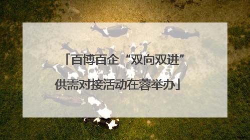 百博百企“双向双进”供需对接活动在蓉举办