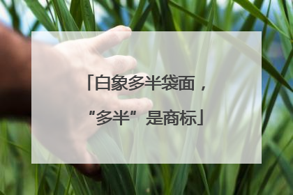 白象多半袋面，“多半”是商标