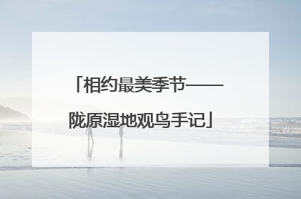 相约最美季节——陇原湿地观鸟手记