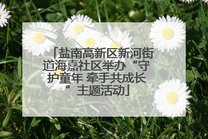盐南高新区新河街道海嘉社区举办“守护童年 牵手共成长”主题活动