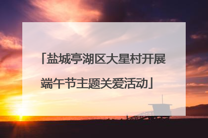 盐城亭湖区大星村开展端午节主题关爱活动