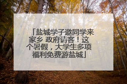 盐城学子邀同学来家乡 政府请客！这个暑假，大学生多项福利免费游盐城
