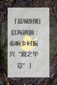 盐城射阳县海通镇：奏响乡村振兴“夏之华章”