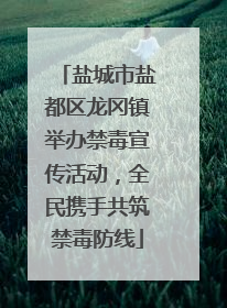 盐城市盐都区龙冈镇举办禁毒宣传活动，全民携手共筑禁毒防线