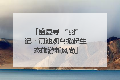 盛夏寻 “羽” 记：滇池观鸟掀起生态旅游新风尚