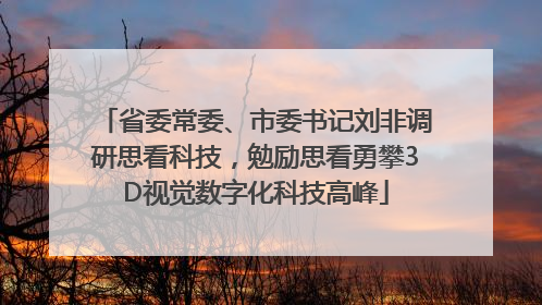 省委常委、市委书记刘非调研思看科技，勉励思看勇攀3D视觉数字化科技高峰