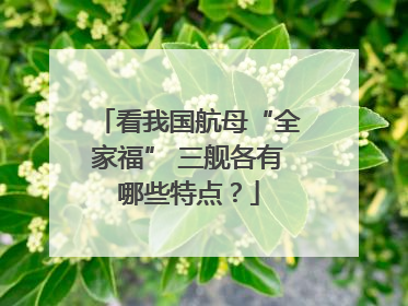 看我国航母“全家福” 三舰各有哪些特点？
