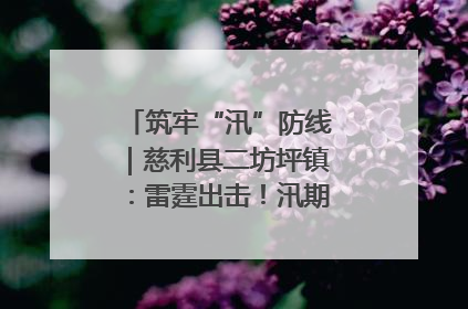 筑牢“汛”防线｜慈利县二坊坪镇：雷霆出击！汛期捕鱼被紧急叫停